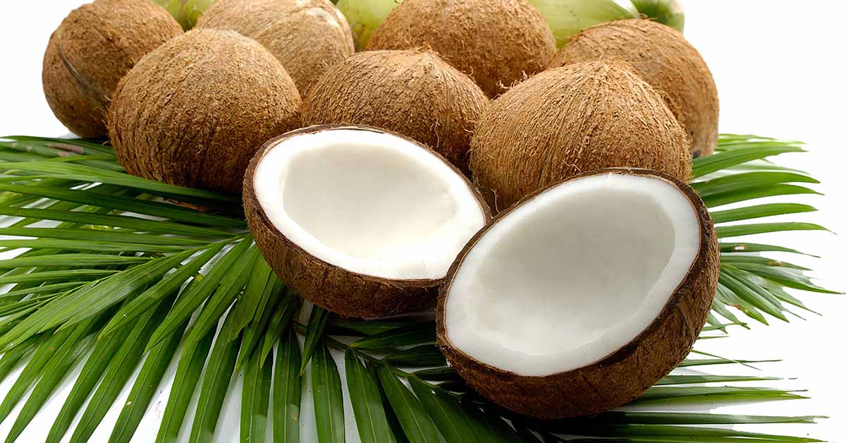 cbd wellness uses natural coconut oil in salves