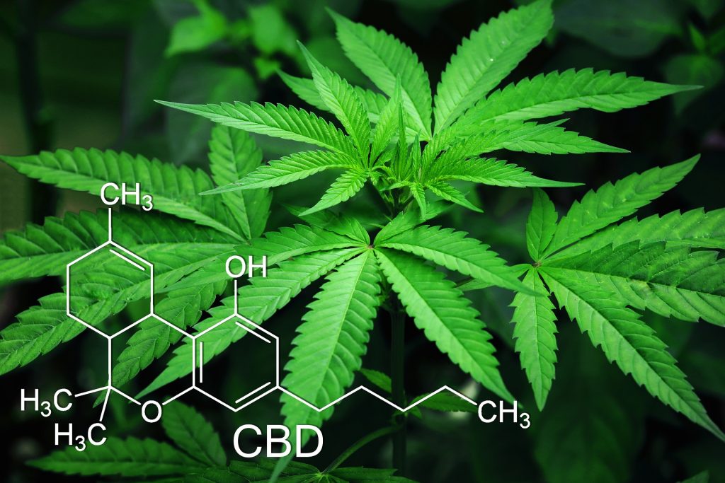CBD Wellness explains in depth what CBD is and what it provides
