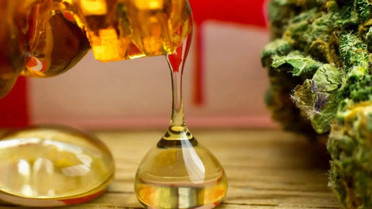 CBD Wellness explains why full spectrum CBD products are the most effective