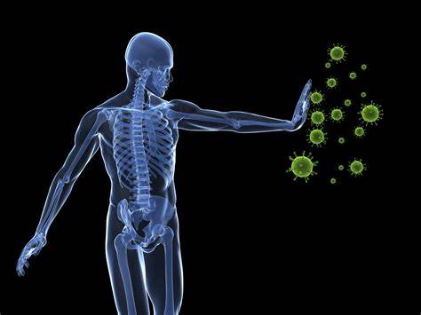 immune system support with cbd wellness products