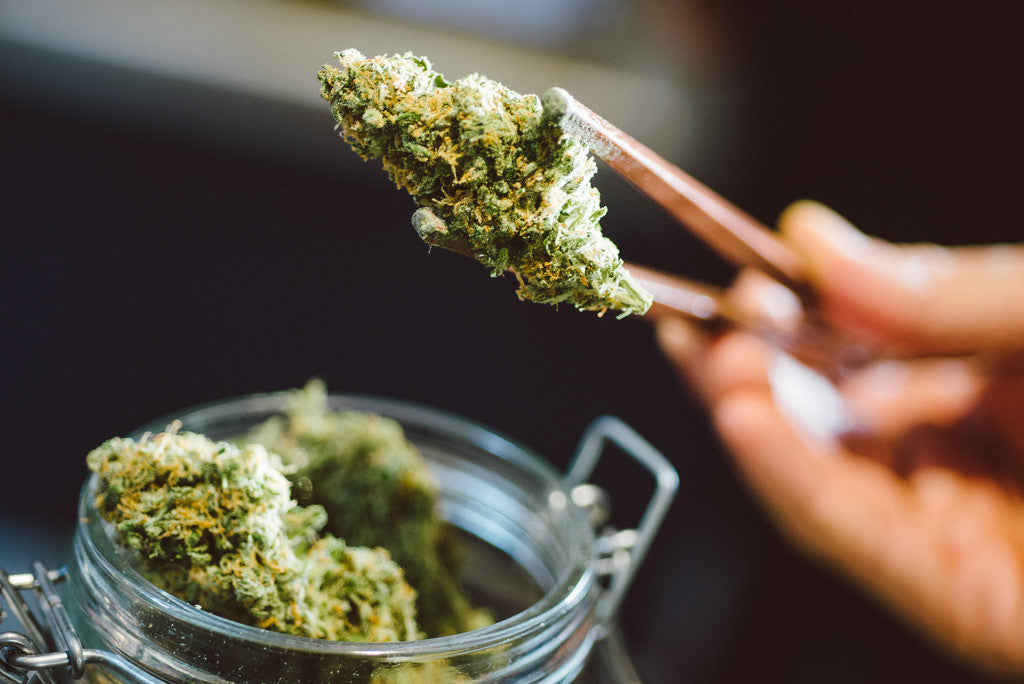 cbd wellness cannabis hemp cbd flower buds