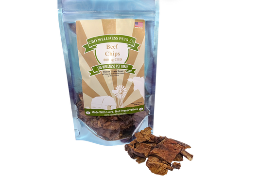 CBD Wellness 800mg CBD Beef Chips — crunchy hemp CBD dog treats, beef flavor, full-spectrum, grain-free, lab-tested, made in USA
