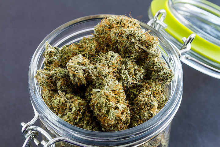 cbd wellness cbd hemp flower