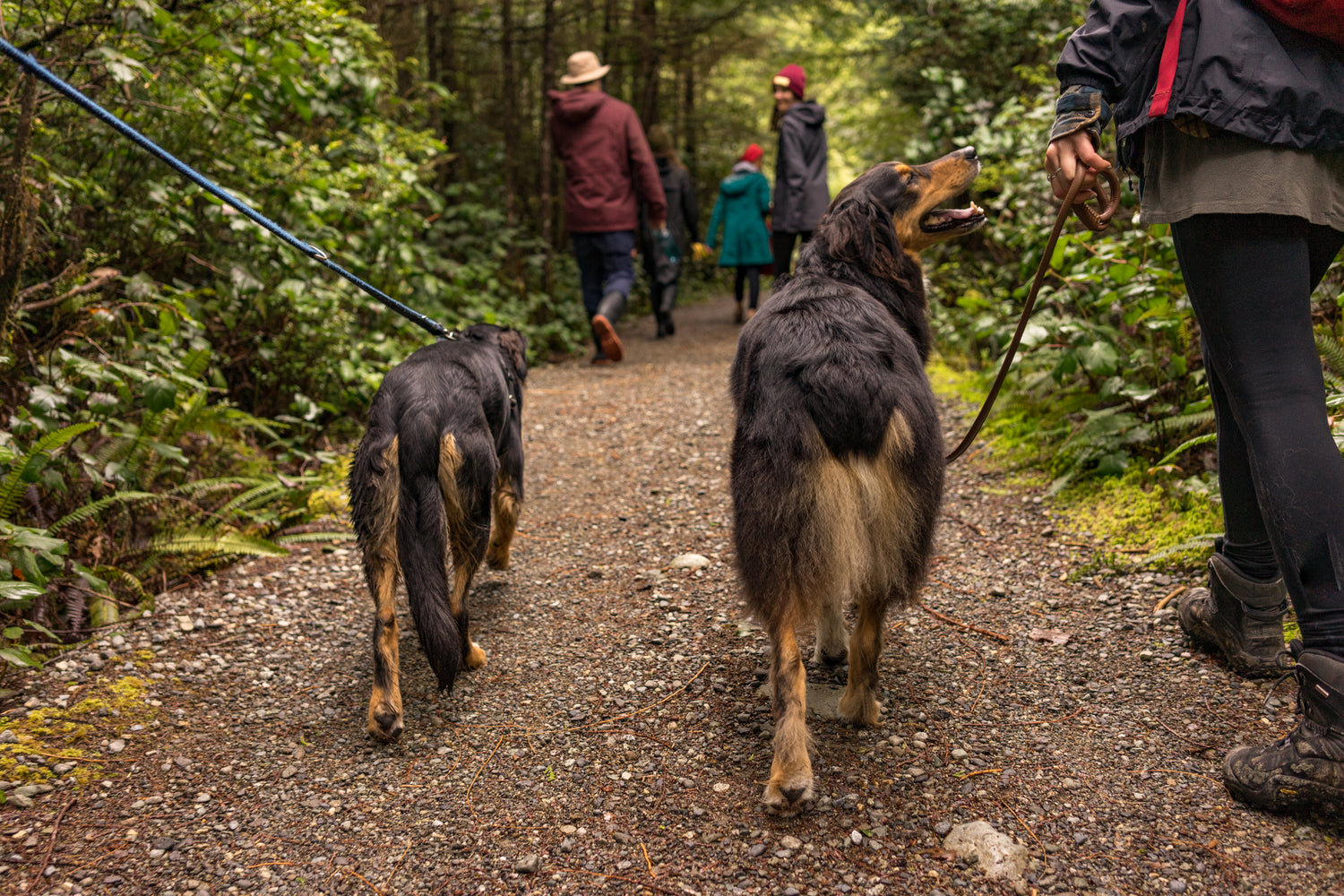 family outdoors after using cbd wellness products